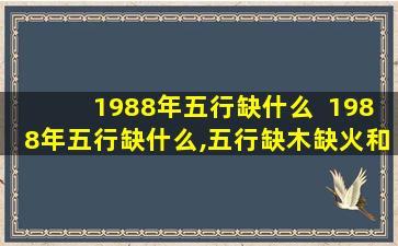 1988年五行缺什么  1988年五行缺什么,五行缺木缺火和五行缺金取水